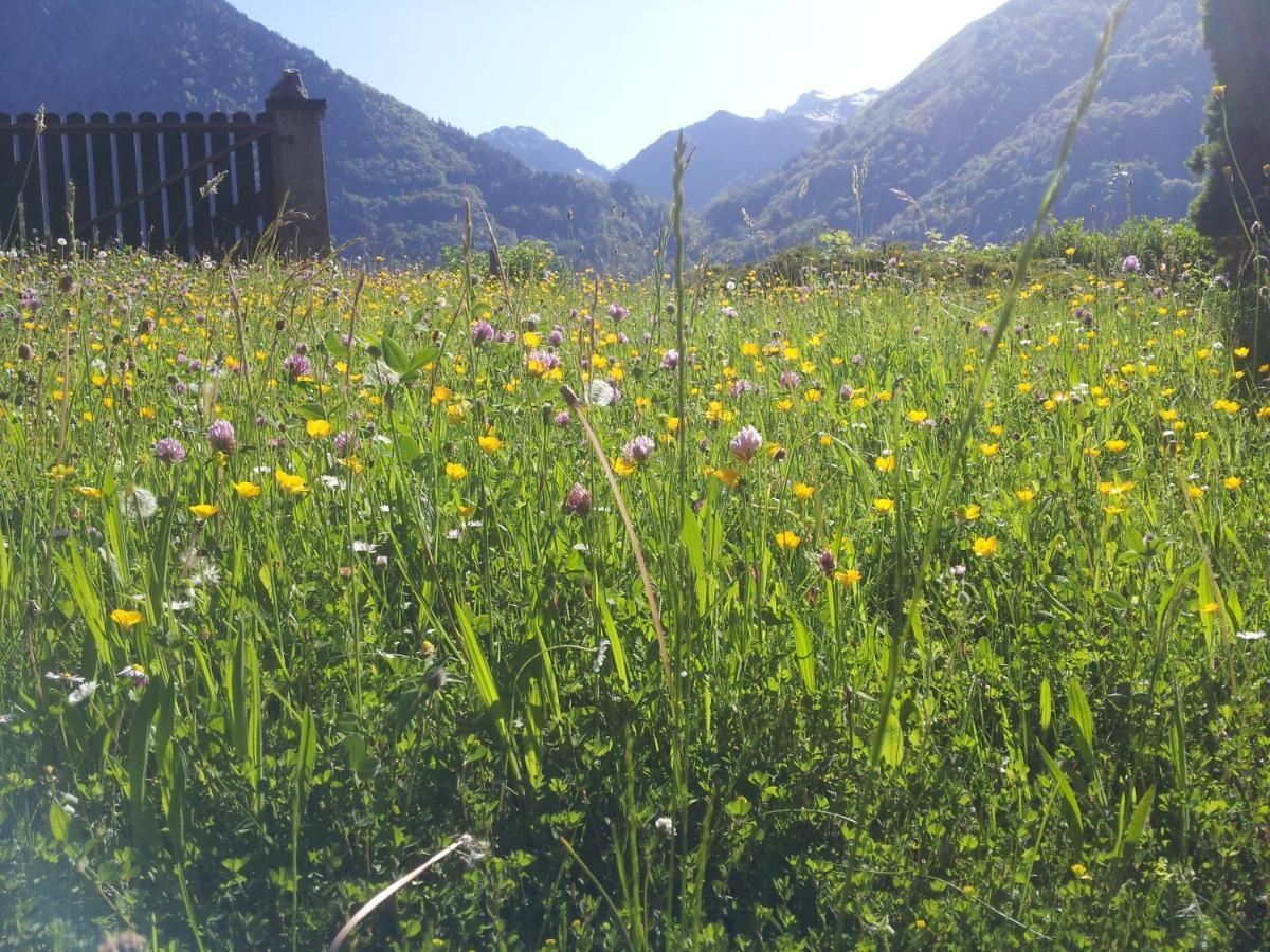 Le Clot De La Hount Bed & Breakfast Cauterets Luaran gambar
